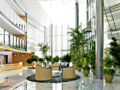 Benefits of Indoor Plants (1)