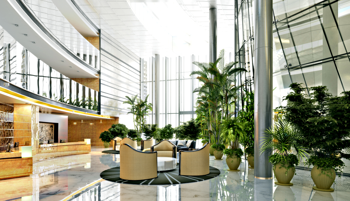 Benefits of Indoor Plants (1)