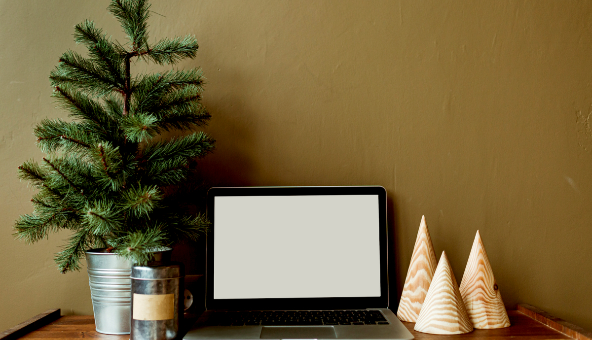 Live Plant Programs for Holiday Décor (1)