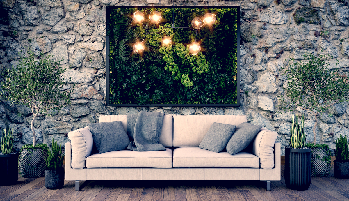 How to Care for your Live Moss Wall