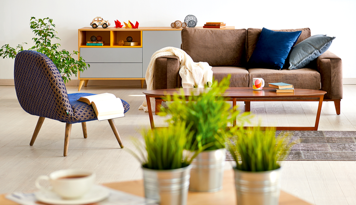 Indoor Plant Displays