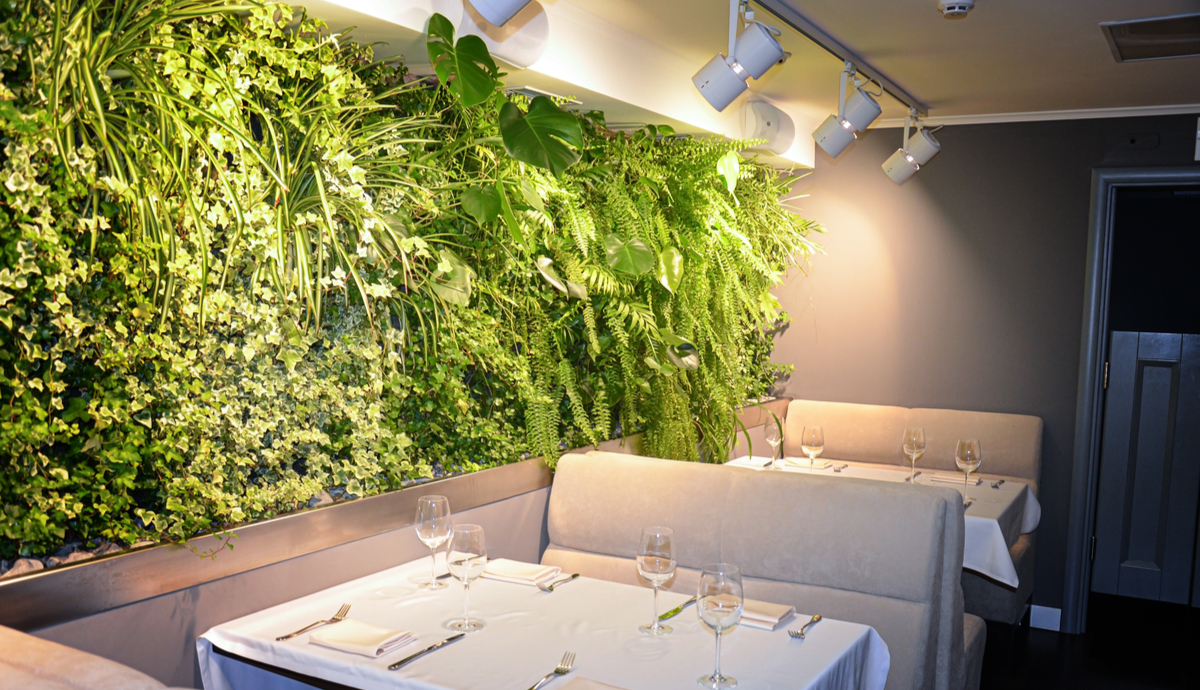Restaurant Green Wall Design
