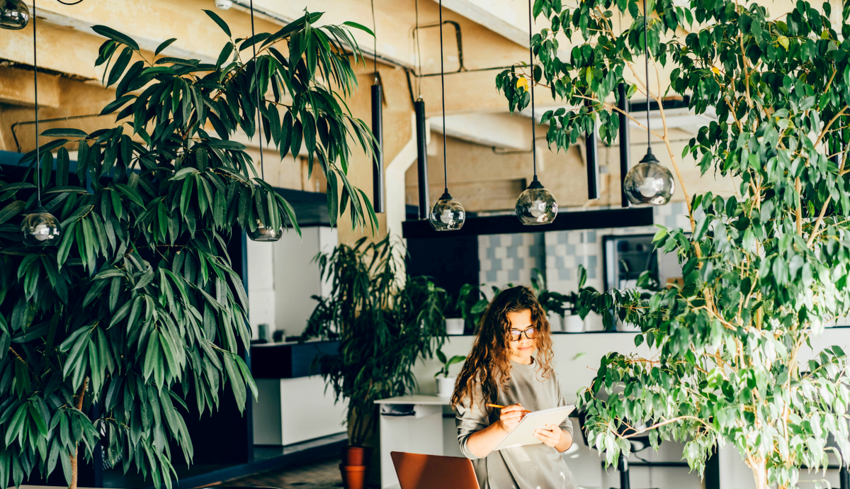 What is Biophilia