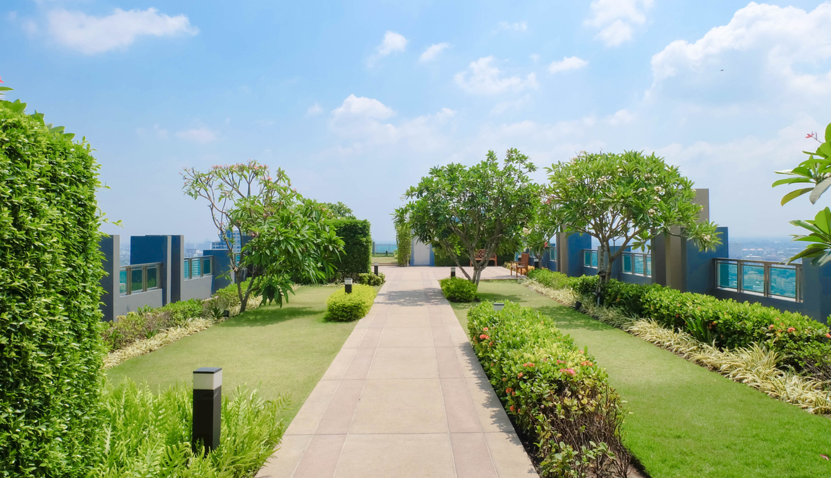 rooftop trees