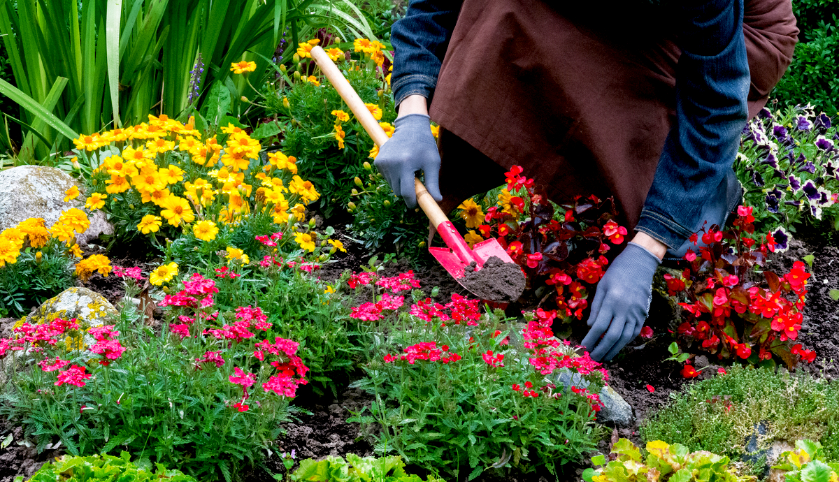 Why Hire Horticulture Plant Services