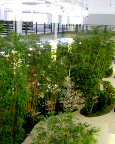 corporate biophilic interior greenery