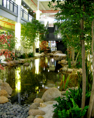 corporate plants
