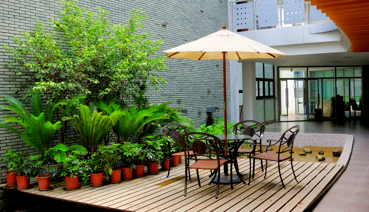 focal point landscaping trends