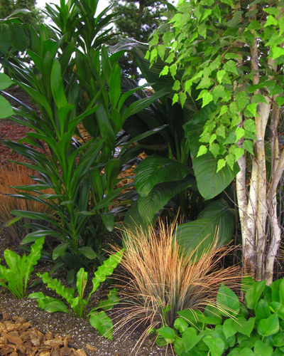 green plants