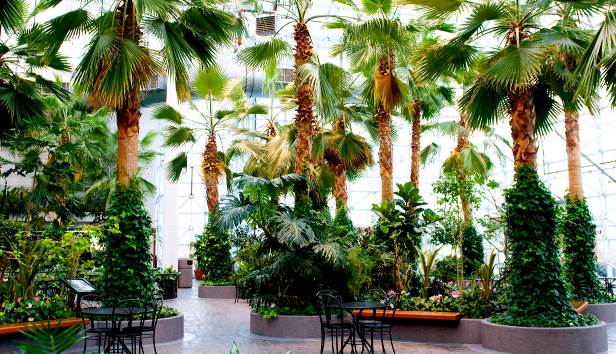 indoor healing garden