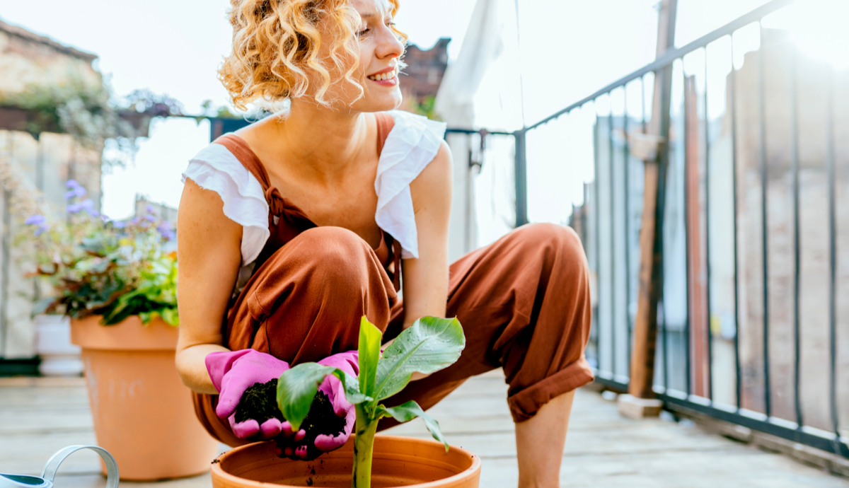 plant care and maintenance
