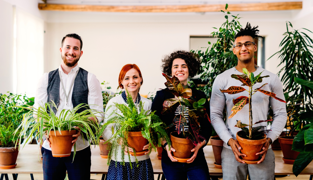 Trending Small Office Plants in 2022