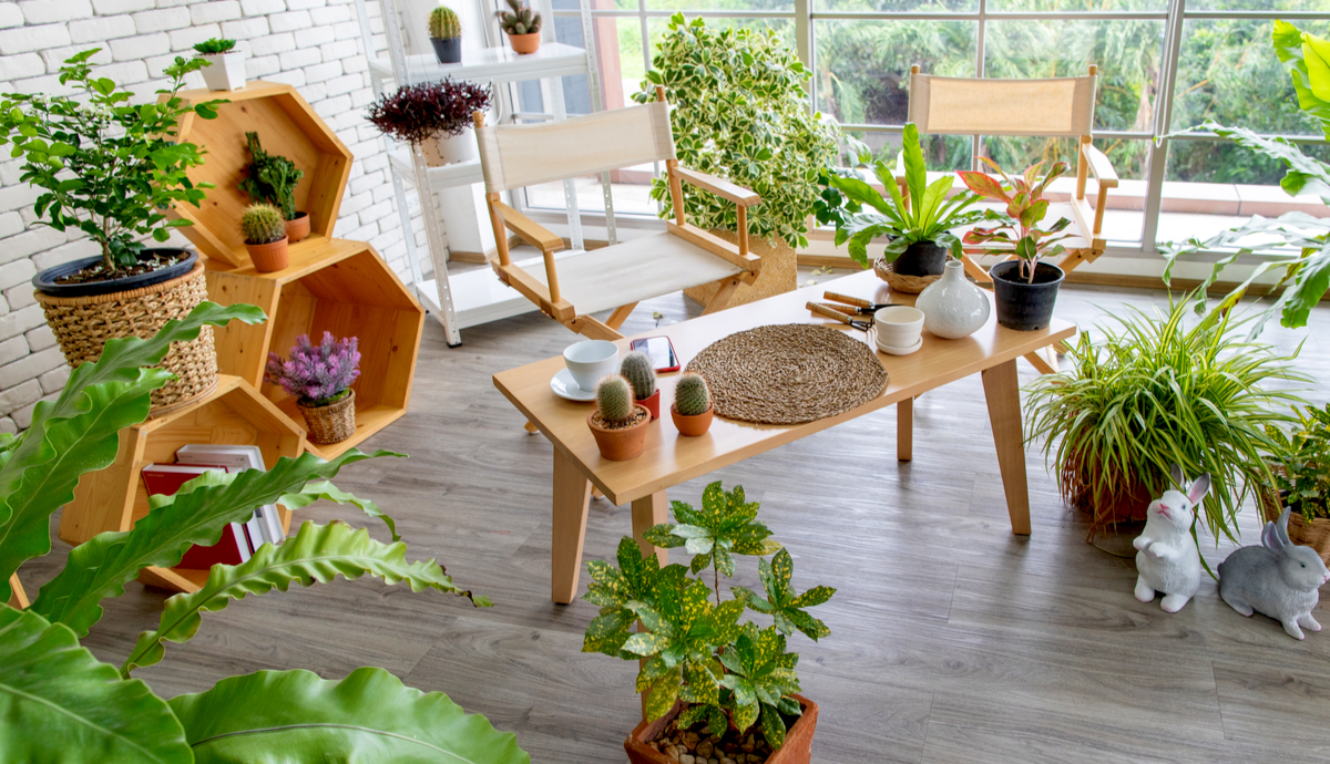 How You Can Start Indoor Gardening Now