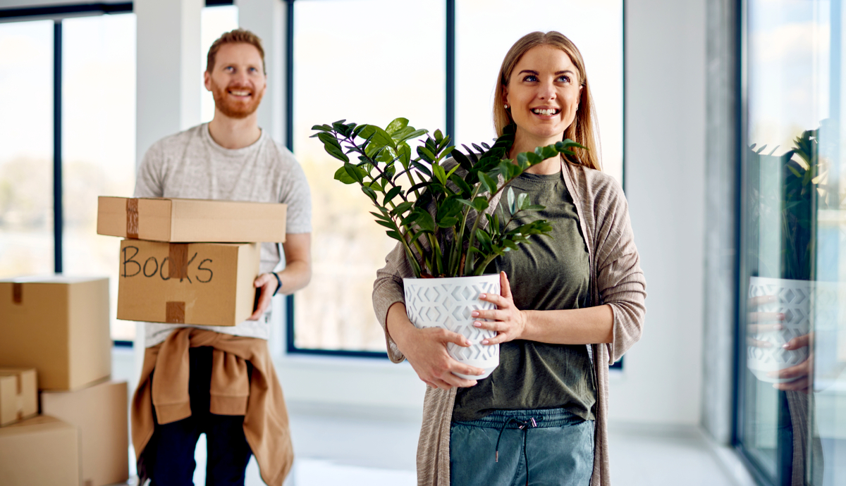 Want to Rent Plants for Events – FAQs