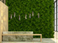 biophilic green wall