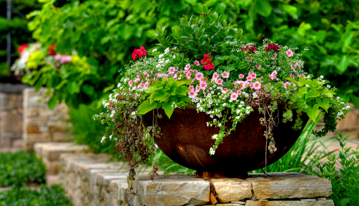 How to Choose the Right Plant Container