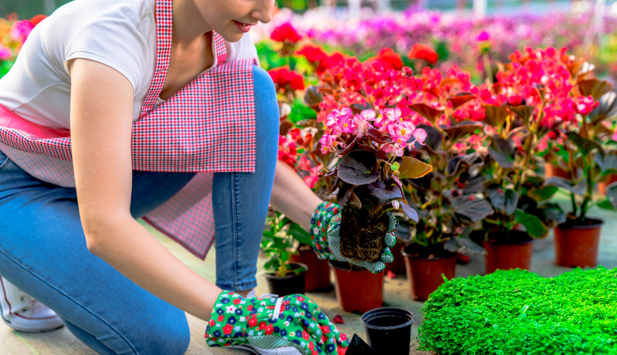 10 Tips for Beginning Gardeners