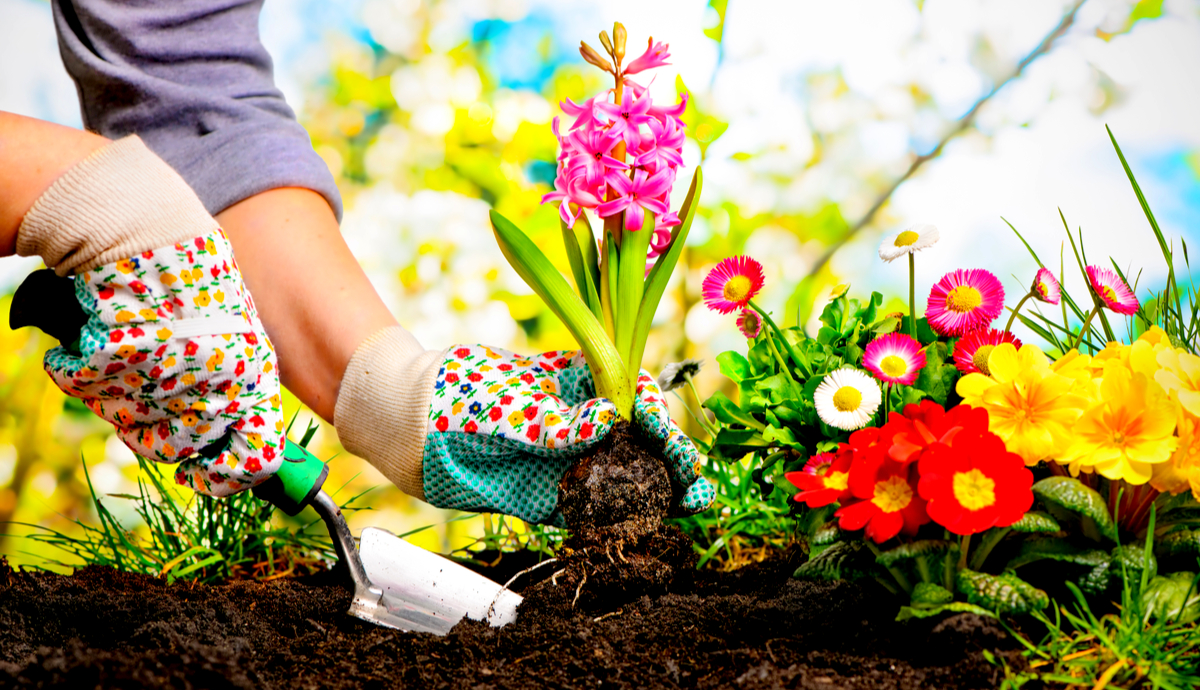 13 Common Gardening Mistakes and How to Avoid Them, According to Experts