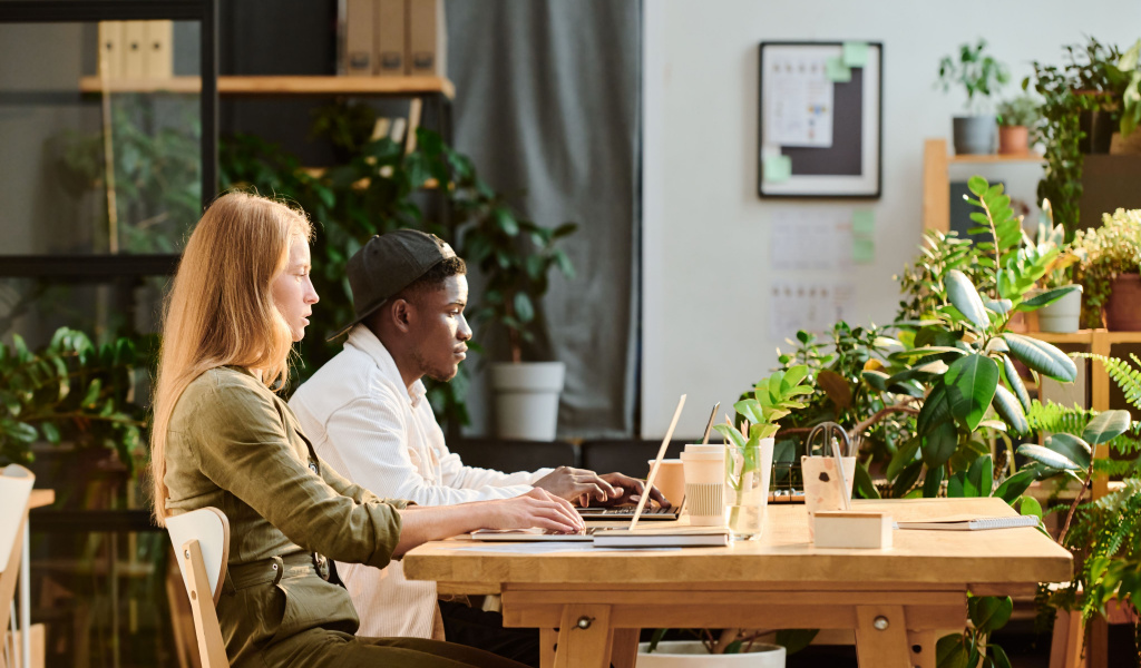 How to Care for Office Plants