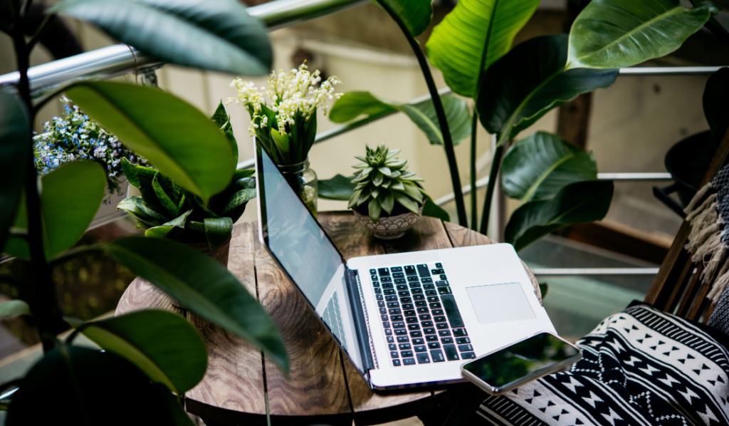 Best Low-Light Office Plants to Lighten Up Your Indoor Spaces