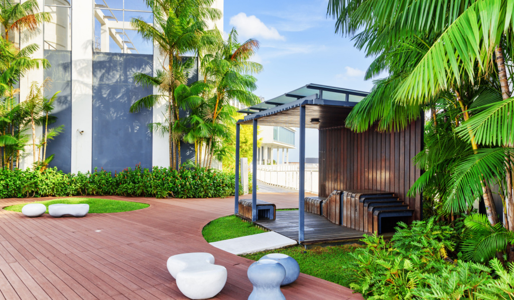 Rooftop Trees to Look Out for in Your Terrace Garden