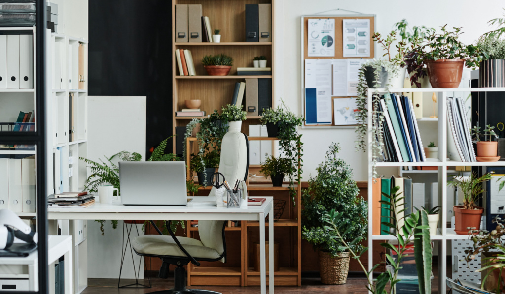 How to Decorate Any Space with a Jungle Aesthetic?